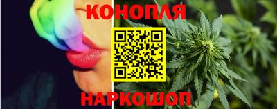 индика Ирбит