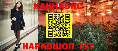 индика Ирбит