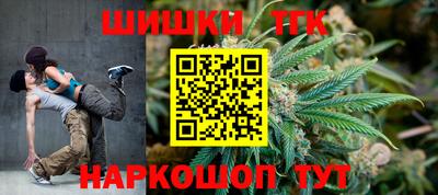 индика Ирбит