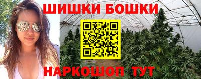 индика Ирбит