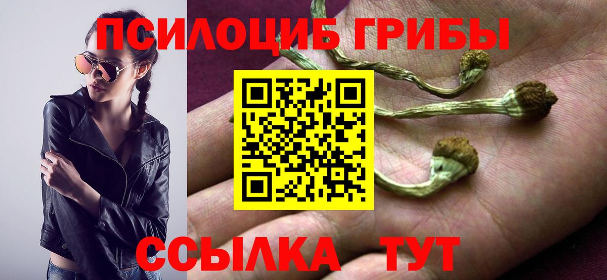 Галлюциногенные грибы Psilocybine cubensis  Вход с VPN  Галлюциногенные грибы Magic Shrooms  где купить наркоту  Ликино-Дулёво 
